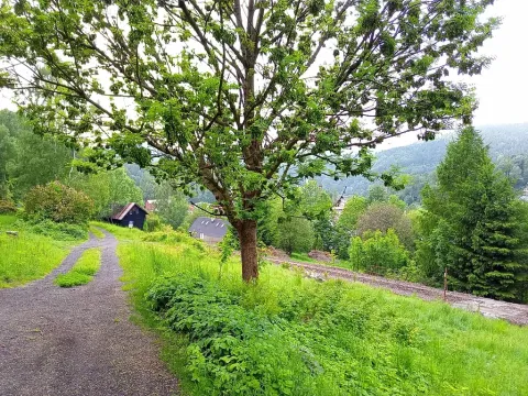 Prodej pozemku pro bydlení, Desná, Hutní, 2111 m2