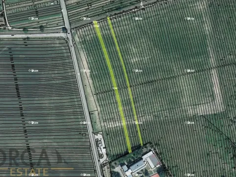 Prodej pozemku pro bydlení, Ratíškovice, 2789 m2