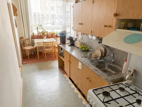 Prodej bytu 1+1, Olomouc - Nová Ulice, Pionýrská, 45 m2