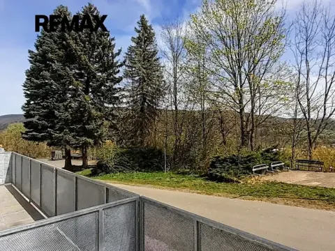 Prodej bytu 1+kk, Vrbno pod Pradědem, Žižkova, 55 m2