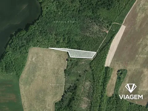 Prodej podílu lesa, Rybníky, 2697 m2