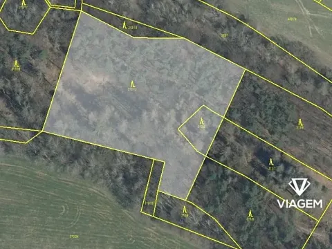 Prodej podílu lesa, Nosálov, 3167 m2