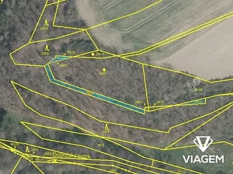 Prodej lesa, Kaceřov, 306 m2