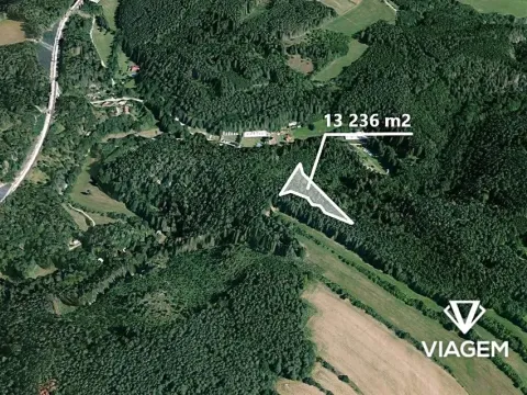 Prodej podílu lesa, Kuřimská Nová Ves, 8824 m2