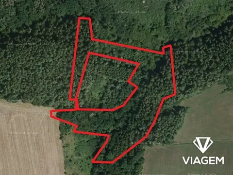 Prodej podílu lesa, Chlum, 2805 m2