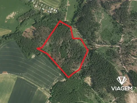 Prodej podílu lesa, Katov, 3762 m2