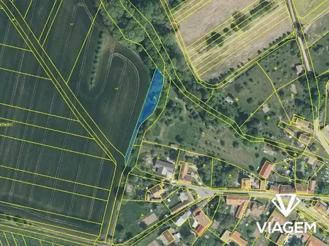 Prodej zahrady, Vrbka, 977 m2