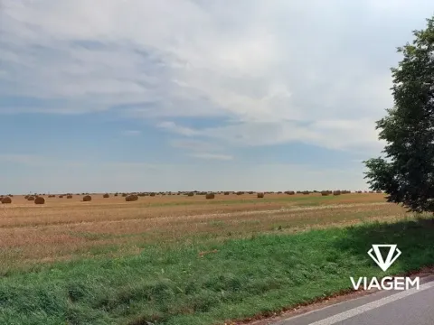 Prodej podílu pole, Praha - Cholupice, 2333 m2