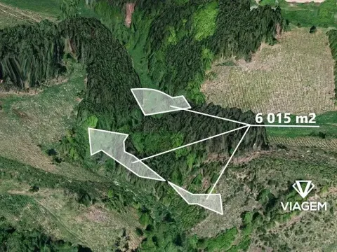 Prodej lesa, Zbizuby, 6015 m2