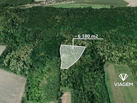 Prodej podílu lesa, Dobrovice, 2060 m2