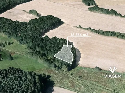 Prodej podílu lesa, Líšťany, 2059 m2