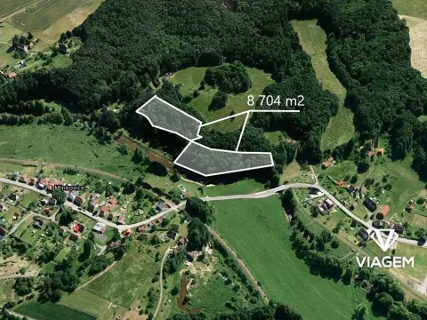 Prodej lesa, Višňová, 8074 m2
