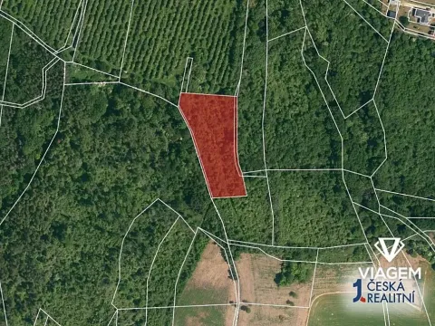Prodej pole, Vinařice, 5664 m2