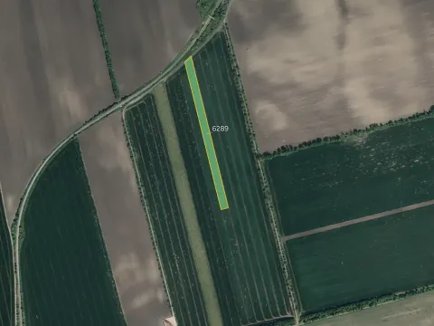 Prodej pole, Lipov, 10196 m2