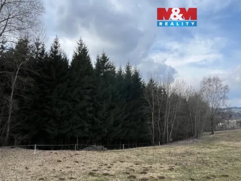 Prodej lesa, Košťálov - Kundratice, 4244 m2