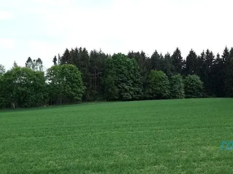 Prodej lesa, Zábřeh, 78836 m2