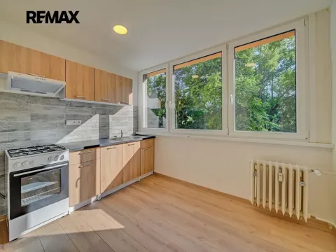 Pronájem bytu 1+1, Kolín, Dělnická, 31 m2