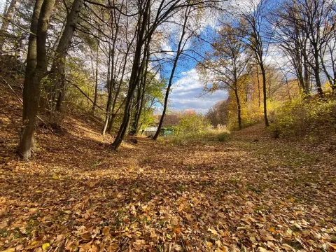 Prodej pozemku pro bydlení, Jílové u Prahy, 14982 m2