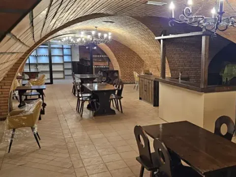 Pronájem restaurace, Ostrava, 28. října, 503 m2