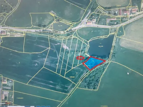 Prodej pozemku, Čížová, 2006 m2