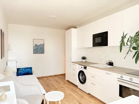 Pronájem bytu 1+kk, Praha - Michle, Batelovská, 18 m2