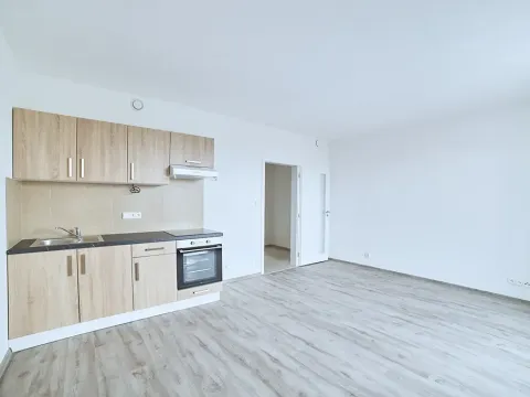 Pronájem bytu 1+kk, Plzeň, Rejskova, 38 m2