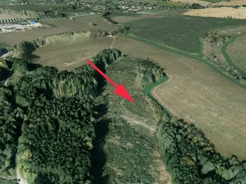 Prodej pole, Česká Třebová, 8125 m2