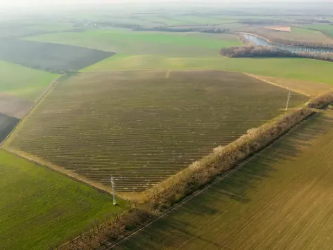 Prodej sadu/vinice, Troskotovice, 243931 m2