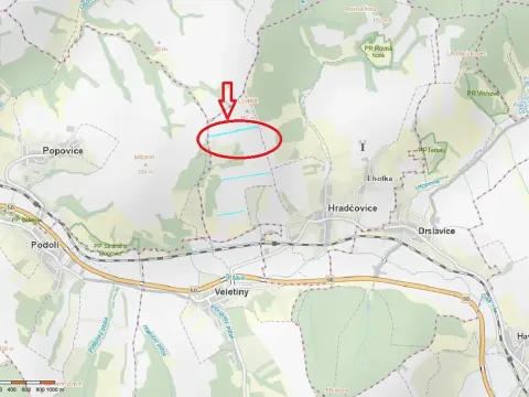 Prodej pole, Hradčovice, 11658 m2