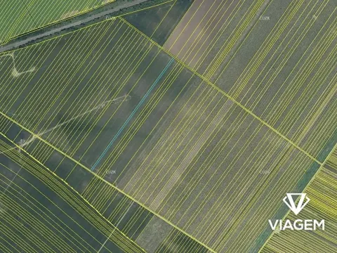 Prodej podílu pole, Moravská Nová Ves, 552 m2