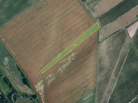 Prodej pole, Nový Poddvorov, 10177 m2