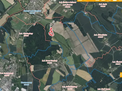 Pronájem louky, Bakov nad Jizerou, 48746 m2