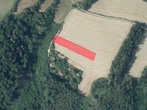 Prodej pole, Stříbrná Skalice, 2877 m2