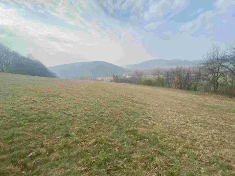 Dražba louky, Linhartice, 9269 m2