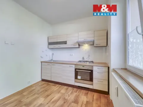 Pronájem bytu 1+1, Plzeň - Východní Předměstí, Francouzská třída, 38 m2