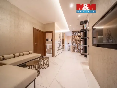 Pronájem obchodního prostoru, Praha - Staré Město, náměstí Curieových, 75 m2