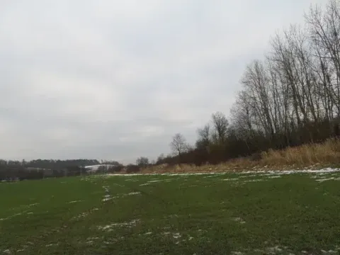 Dražba louky, Račice nad Trotinou, 18528 m2