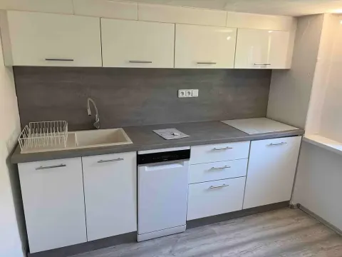 Prodej bytu 2+1, Ústí nad Labem, Bělehradská, 60 m2