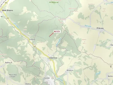 Dražba lesa, Zubrnice, 815 m2