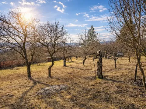Prodej zahrady, Brno, Jámy, 1885 m2
