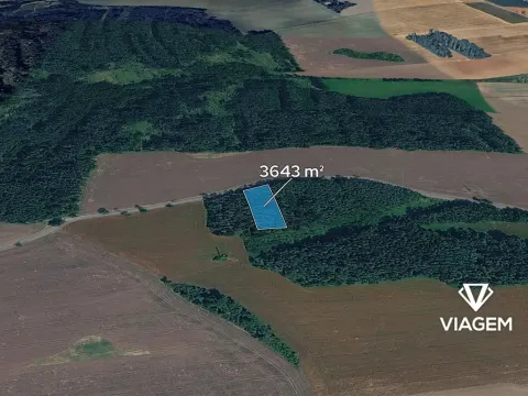 Prodej lesa, Hradiště, 3643 m2
