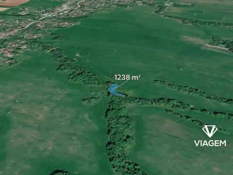 Prodej lesa, Ženklava, 1238 m2