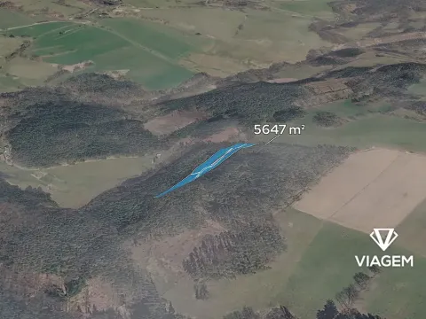 Prodej lesa, Řečice, 5647 m2