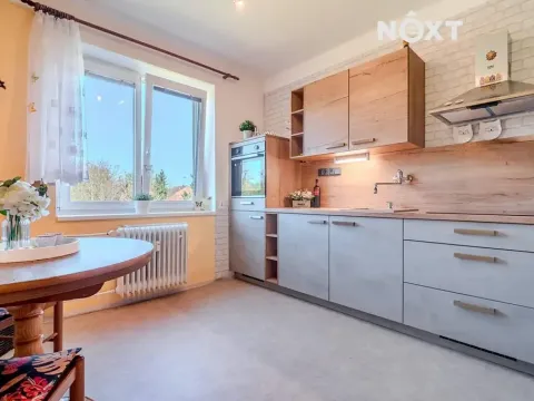Prodej bytu 1+1, Mirovice, Dolejší, 37 m2