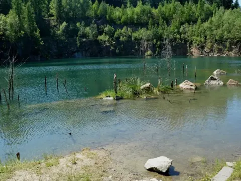 Prodej rybníku, Lipová, 29704 m2