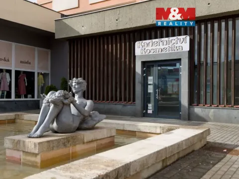 Prodej obchodního prostoru, Chomutov, Palackého, 159 m2