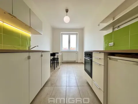 Prodej bytu 1+1, Brno, Merhautova, 48 m2