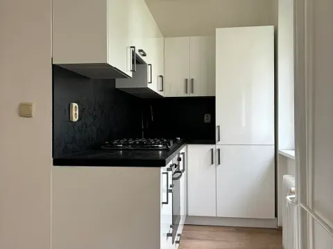 Pronájem bytu 2+1, Praha - Žižkov, Spojovací, 64 m2