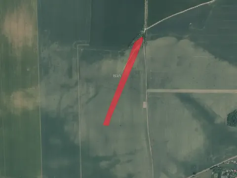 Prodej pole, Račiněves, 6007 m2