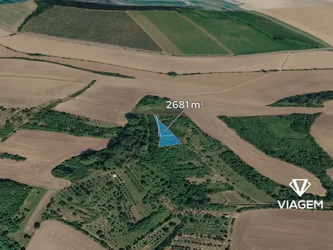 Prodej podílu zahrady, Svatobořice-Mistřín, 667 m2